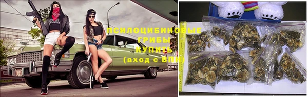 амфетамин Алексеевка