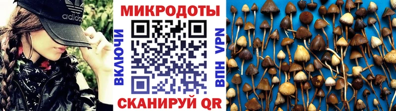 kraken рабочий сайт Отрадная Псилоцибиновые грибы GOLDEN TEACHER купить наркотик